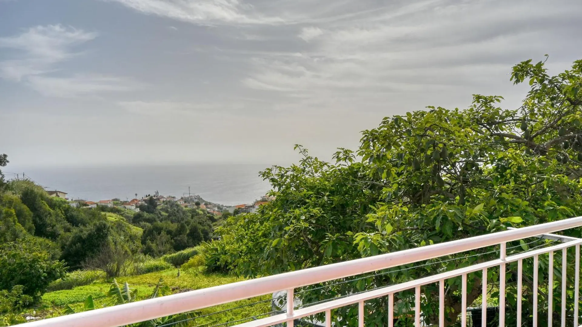Cantinho Da Mikaela, A Home In Madeira Ponta do Sol  Lägenhet