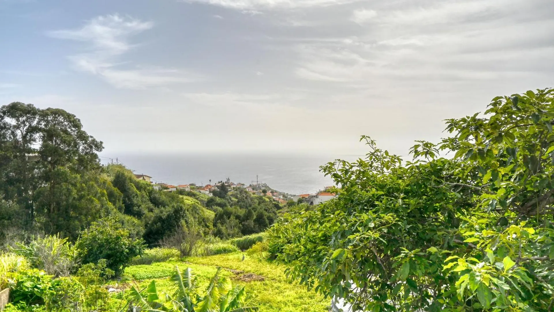 Apartmán Cantinho Da Mikaela, A Home In Madeira Ponta do Sol