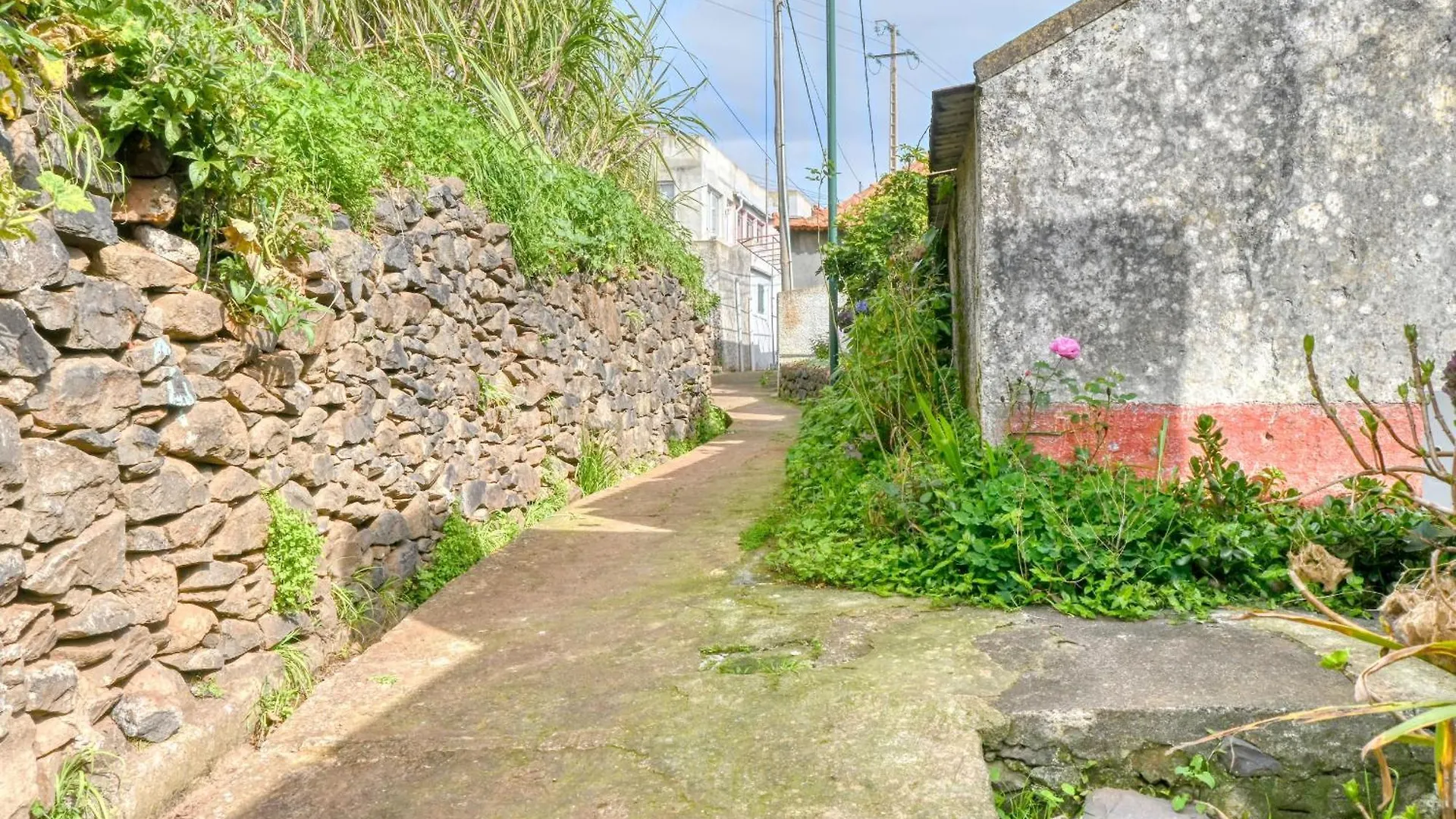 Lägenhet Cantinho Da Mikaela, A Home In Madeira Ponta do Sol  Portugal